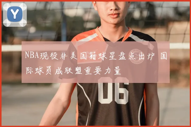 NBA现役非美国籍球星盘点出炉 国际球员成联盟重要力量